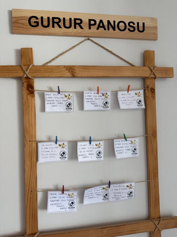 WhatsApp Image 2025-09-23 at 09.44.48